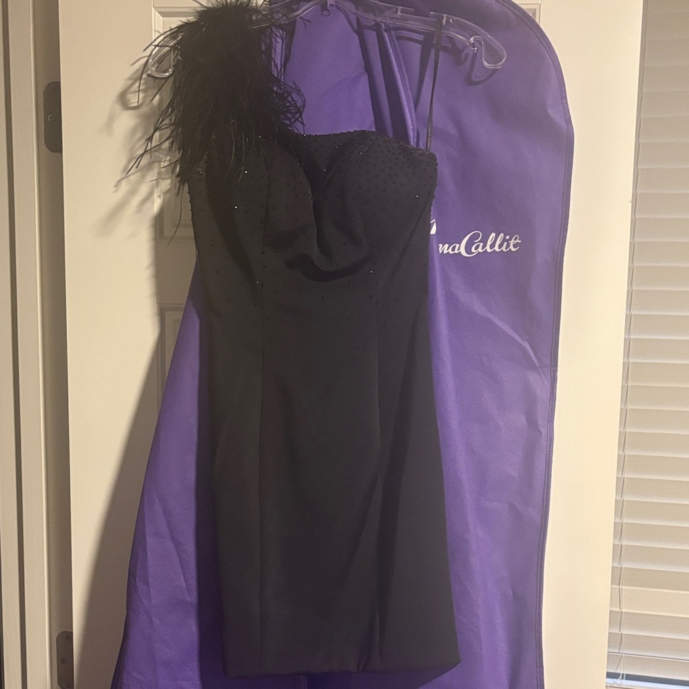 Whatchamacallit Elegant Black Dress with Feather Detail